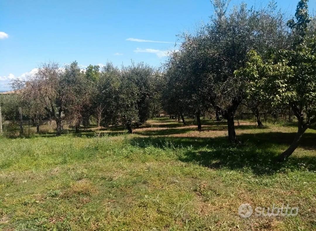 Terreno Agricolo per Allevamento - Vista 5