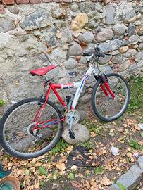 Mountain bike