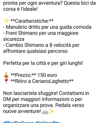 bici da corsa oliva