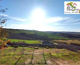 VENDITA TERRENO IN ASTA - ANCONA ZONA ASPIO