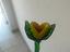Immagine 5