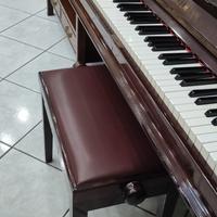 pianoforte winkelmann