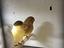 Immagine 5
