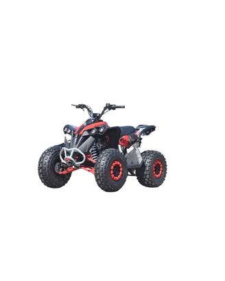 Quad 125cc Automatico con Retromarcia