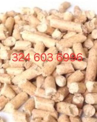 pellet 