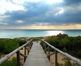 Villa a soli 50 m dalla spiaggia : Sole e ralax