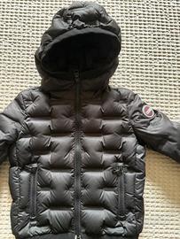 colmar bambino/a