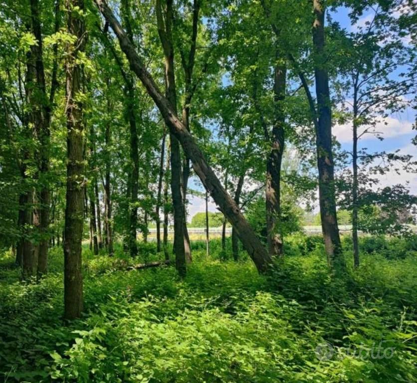 Immobile in asta di 34378 m² a Treviso - Altro