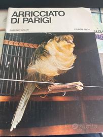 Arricciato di Parigi