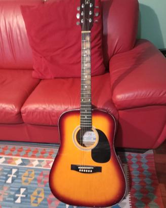 Chitarra folk Roling's  con custodia