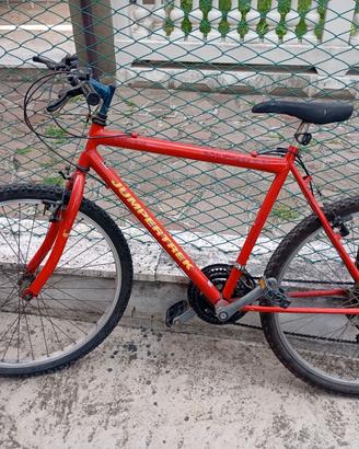 MTB da ragazzi misura ruota 26