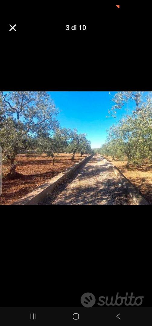terreno agricolo - Vista 3