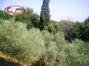Terreno di 44 m² a Bucine