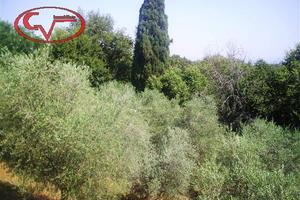 Terreno di 44 m² a Bucine