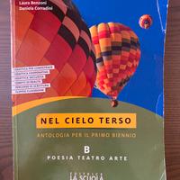 Libro antologia nel cielo terso