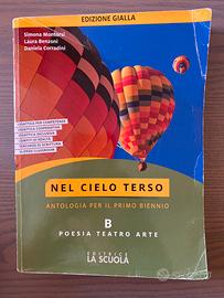 Libro antologia nel cielo terso