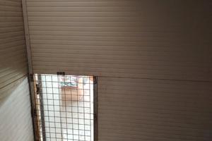 Box per cani da interno con ufficio