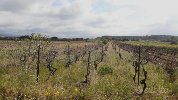 Is Ammostus, Terreno recintato, fronte strada