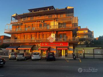 2 LOCALI A ALBANO LAZIALE