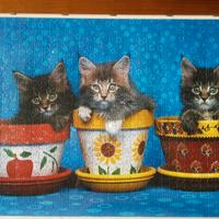 Puzzle da appendere, gatti