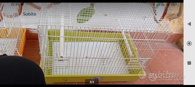 coppia gabbie 45 complete 