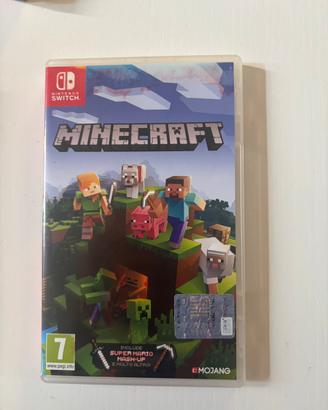 Gioco Nintendo : Minecraft