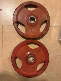 Coppia dischi palestra 15 kg