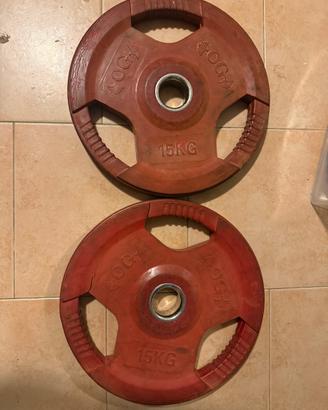 Coppia dischi palestra 15 kg