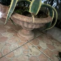 Vasi terracotta lavorati