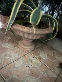 Vasi terracotta lavorati