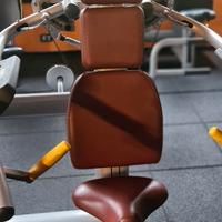 delt machine technogym 