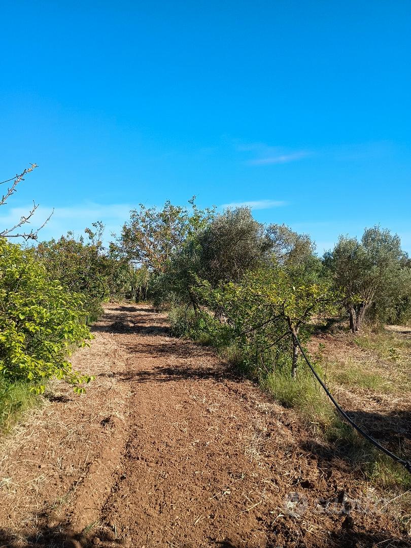 terreno agricolo - Vista 2