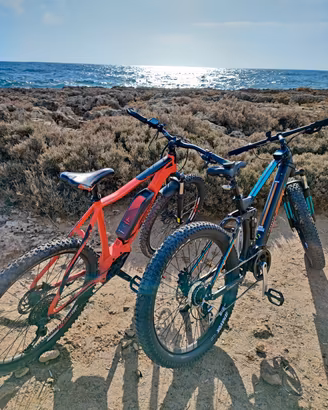 E bike 