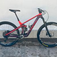 Canyon strive 2019 tg L