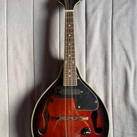 Mandolino Stagg M50E