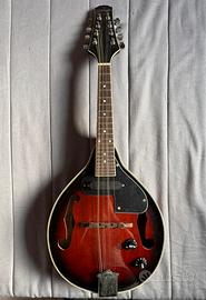 Mandolino Stagg M50E