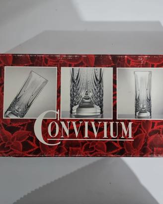 6 Bicchieri Cocktail RCR