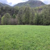 Terreno per coltivazione o apicultura