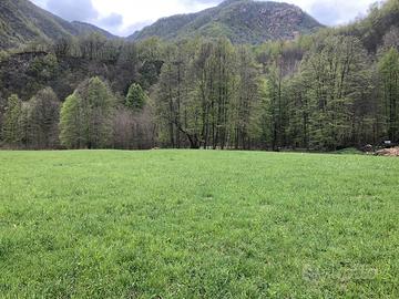 Terreno per coltivazione o apicultura