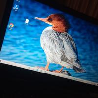 PC computer Lenovo Ideapad 