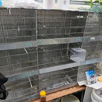 batterie gabbie per uccelli 