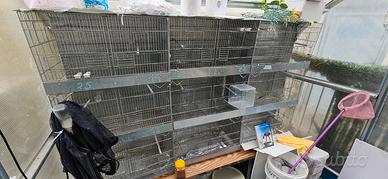 batterie gabbie per uccelli 