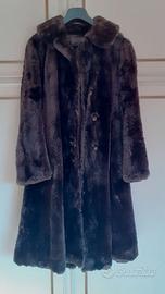 PELLICCIA DI CASTORO