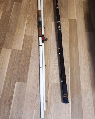 Due Canne da pesca Surf Casting molto datate