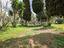 Immagine 27
