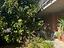 Immagine 14
