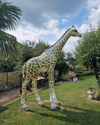 Giraffa in vetroresina grande