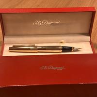 Penna stilografica da collezione