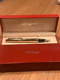 Penna stilografica da collezione