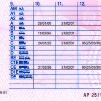 Autista patente C+CQC+(CE prima esperienza)